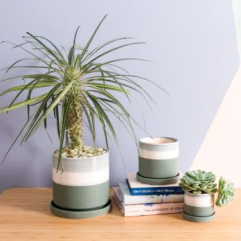 Greer Plant Pot with Tray - Rebel Villa