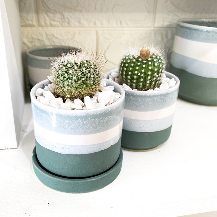 Greer Plant Pot with Tray - Rebel Villa