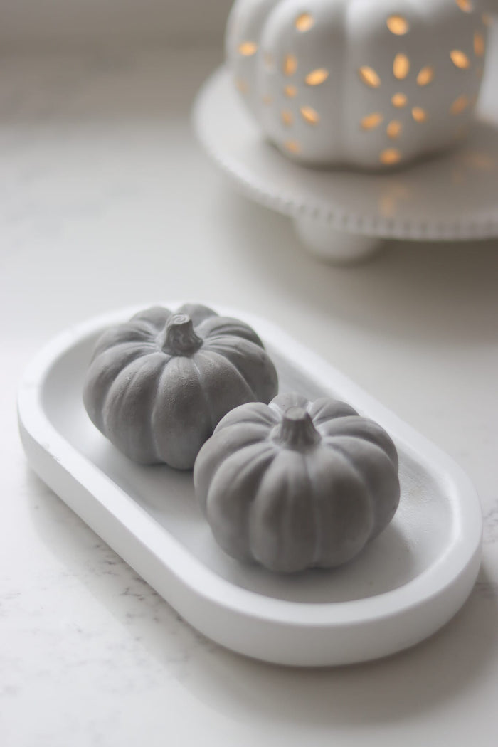 Grey Stone Resin Pumpkins - Small 2Pc Set