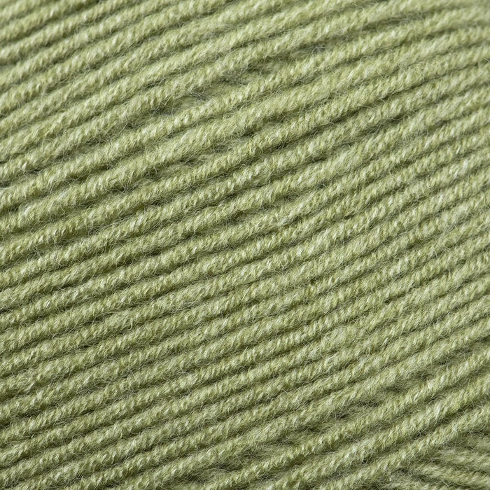 Sirdar Hayfield Soft Twist -256 - Fern 5024723212569 | Yarn at Michigan Fine Yarns