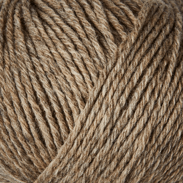 Cardamom
