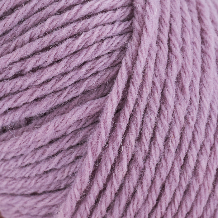 Artichoke Purple
