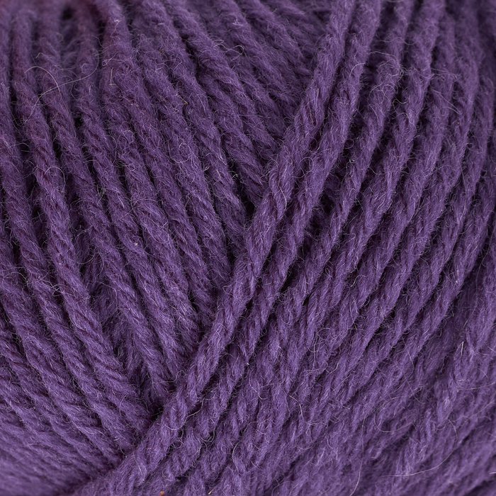 Plum / Blomme
