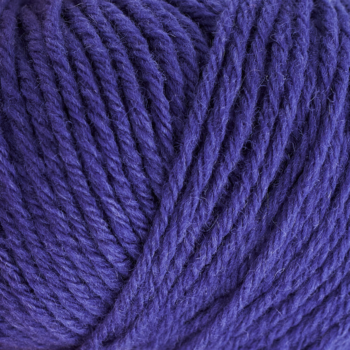 French Anemone