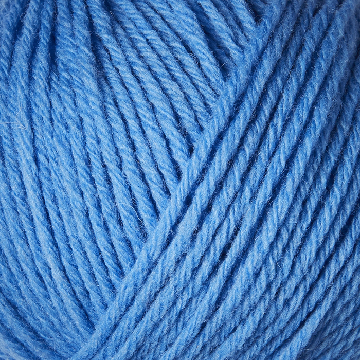 Poppy Blue