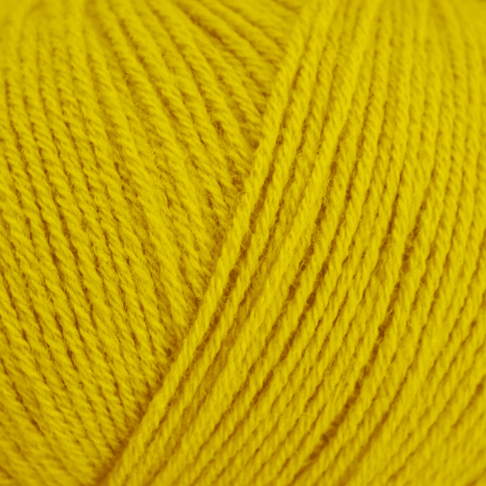 Umami Yellow