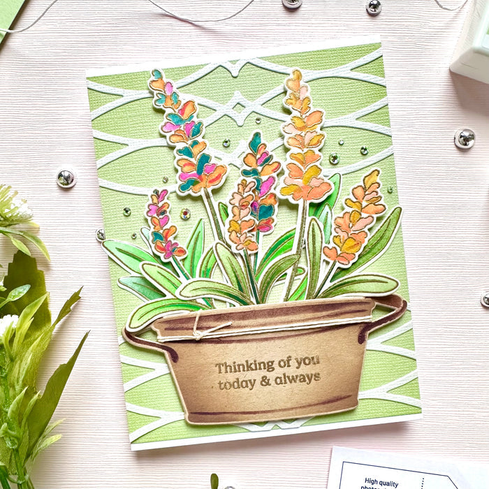 Herb Garden die