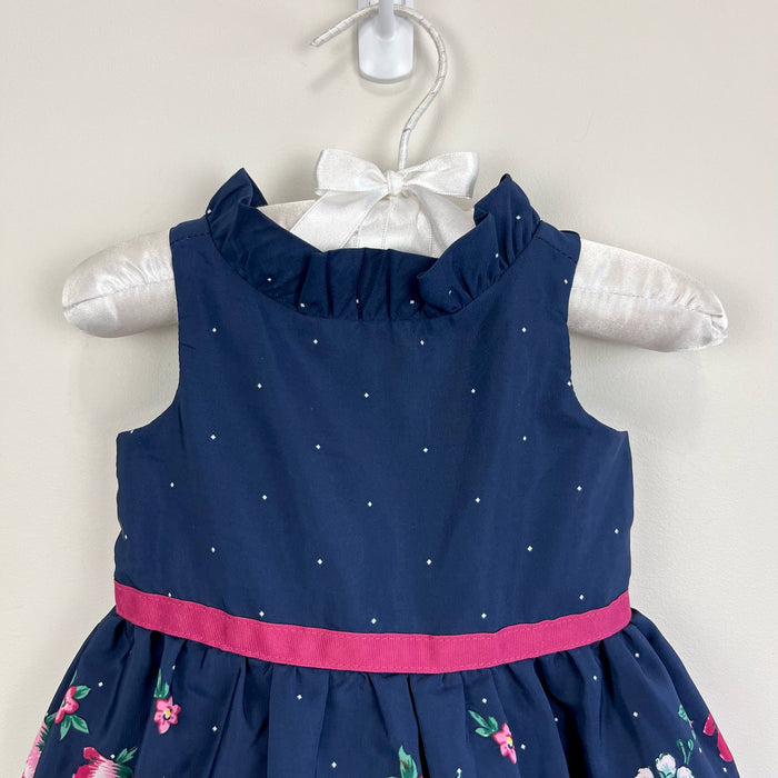 Janie and Jack Floral Border Dress 3-6 Months