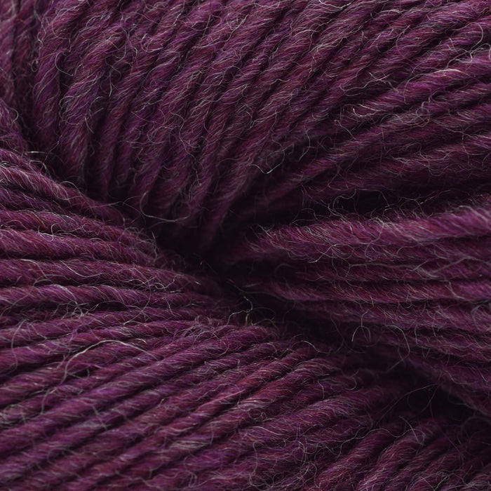 Blue Sky Fibers Leaf Wrap Kit -2307 - Pressed Grapes | Kits at Michigan Fine Yarns