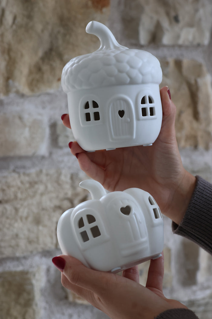 LED Acorn & Pumpkin House - Bundle