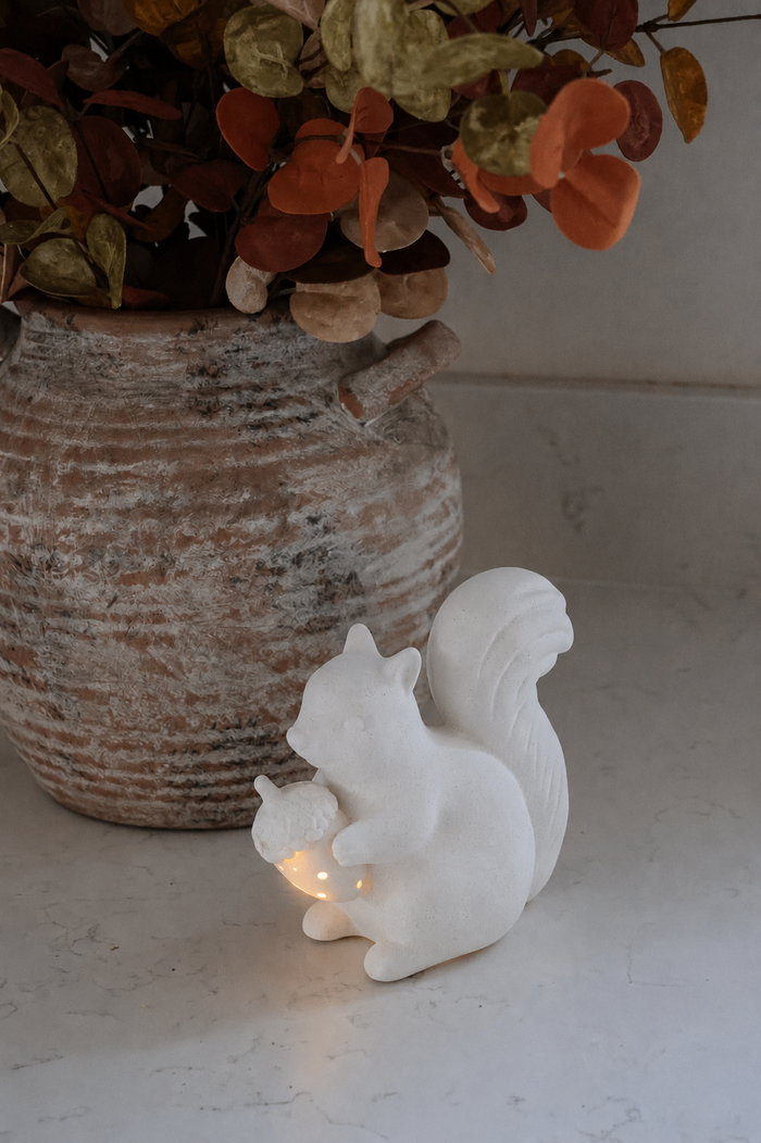 LED Squirrel