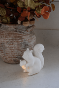 LED Squirrel