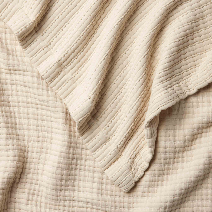 PDP2 Option[Sand] DETAIL