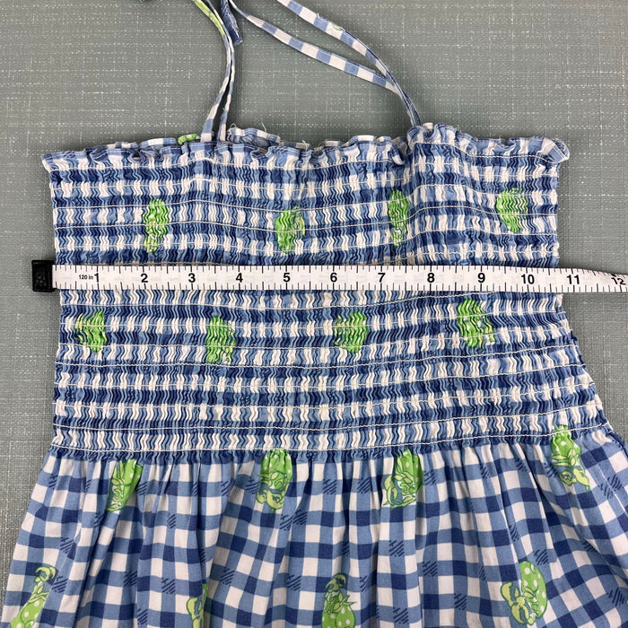 Lilly Pulitzer Girls Sweet Blue Picnic Plaid Smocked Hermit Crab Dress 6