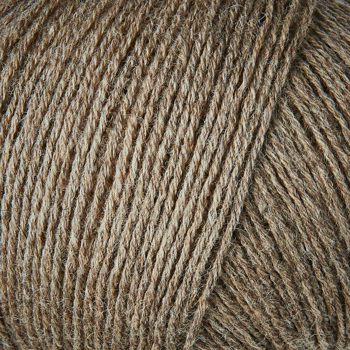 Cardamom