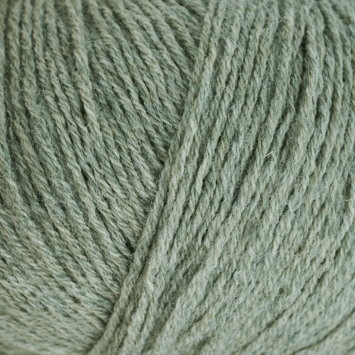 Eucalyptus