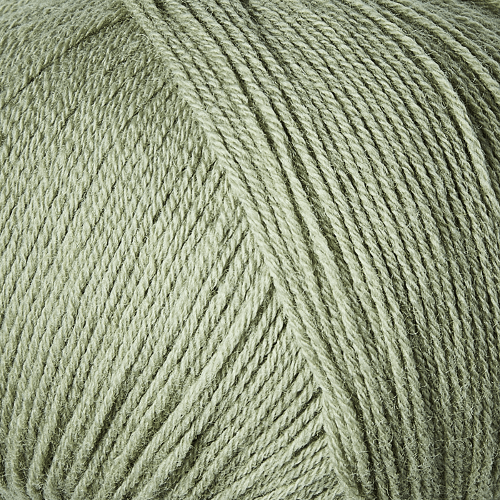 Dusty Artichoke