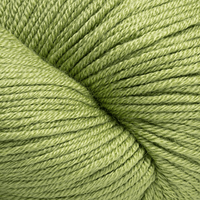 09 - Fern