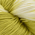 Cascade Yarns Noble Cotton Tie-Dyed -701 - Pear 886904072080 | Yarn at Michigan Fine Yarns