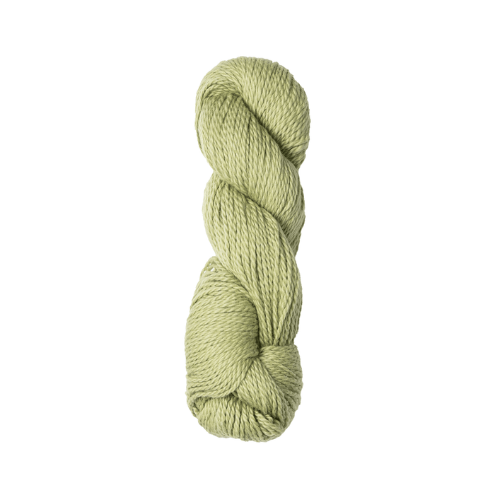 239 - Wasabi