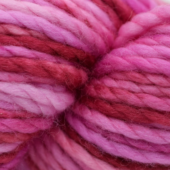 Koigu Othello Merino - 004 | Yarn at Michigan Fine Yarns