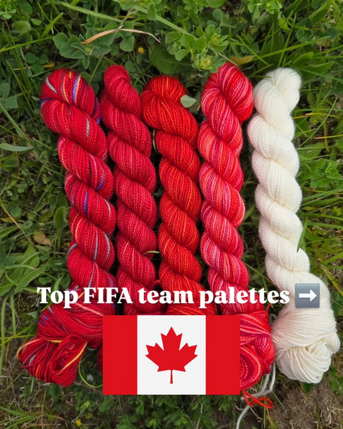 FIFA World Cup (Canada)