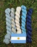 FIFA World Cup (Argentina)
