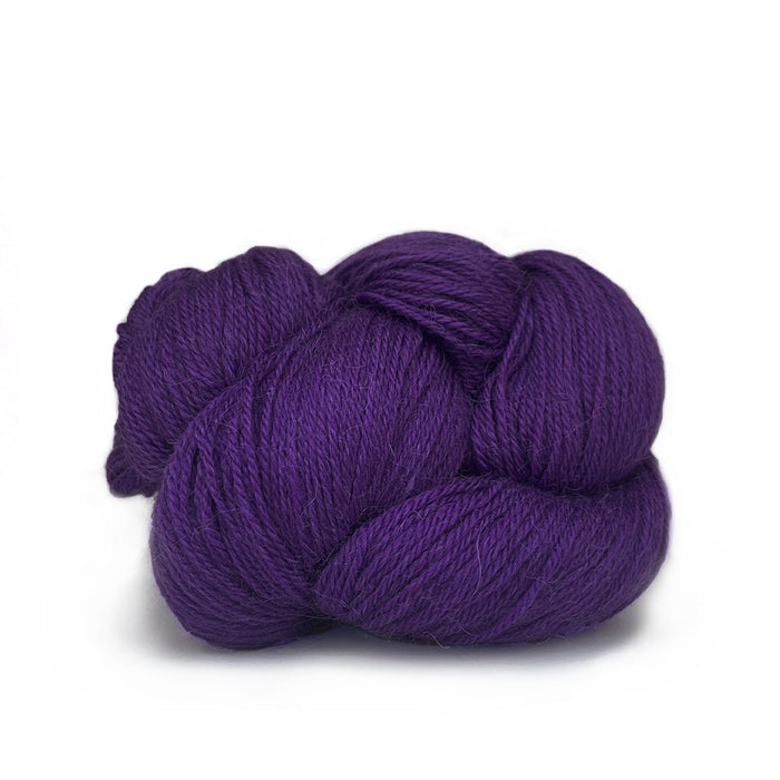 507 - Violet