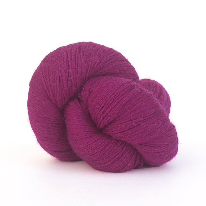 520 - Raspberry