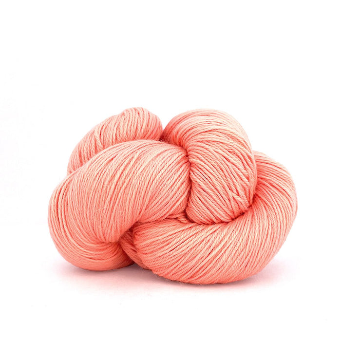 865 - Cantaloupe