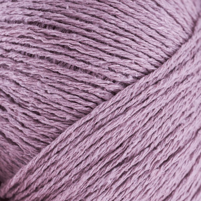 Artichoke Purple