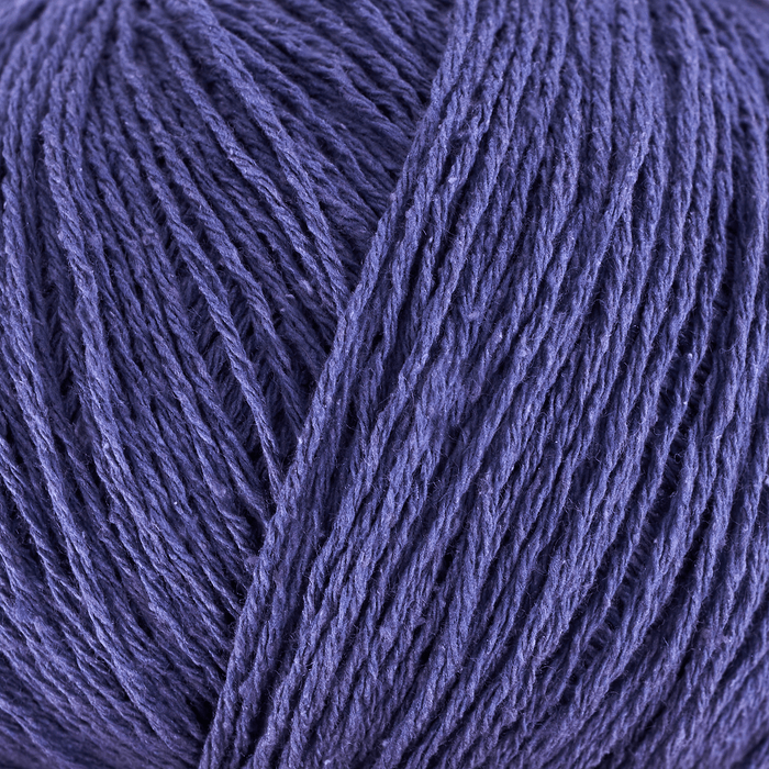French Anemone