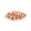 Raw Bitter Apricot Kernel (Hasteh Zardalu Talkh) - Tavazo Corporation