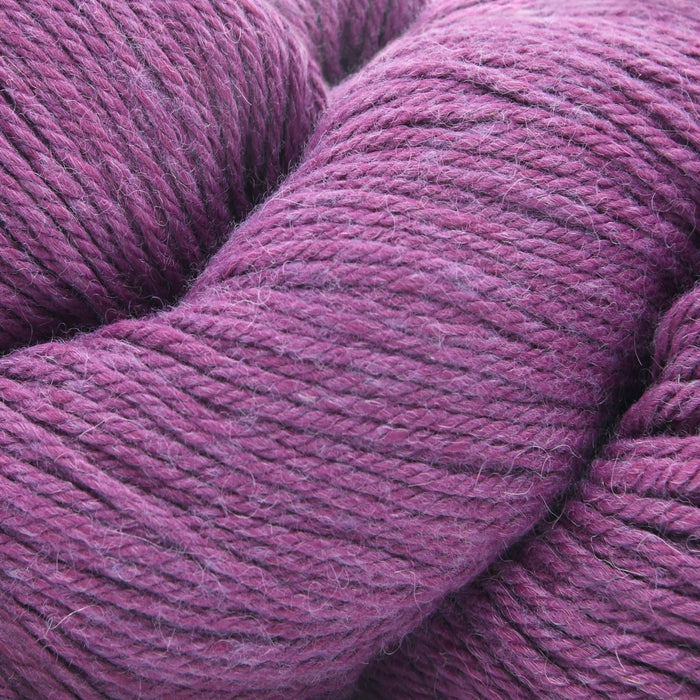 10 - Raspberry