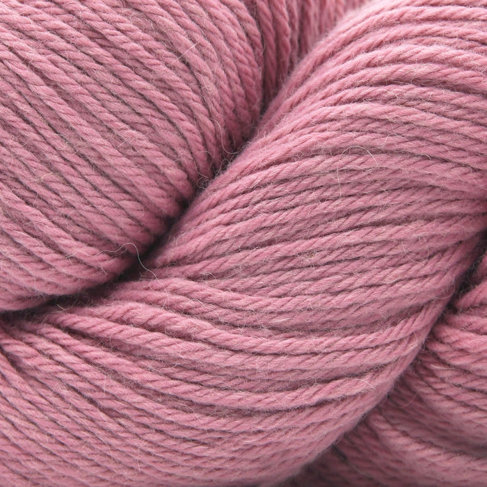 16 - Rose
