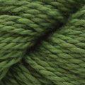 Blue Sky Fibers Santa Cruz Wrap Kit -233 - Pickle (Original) 71474218 | Kits at Michigan Fine Yarns