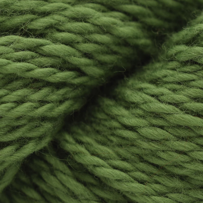 Blue Sky Fibers Santa Cruz Wrap Kit -233 - Pickle (Original) 71474218 | Kits at Michigan Fine Yarns
