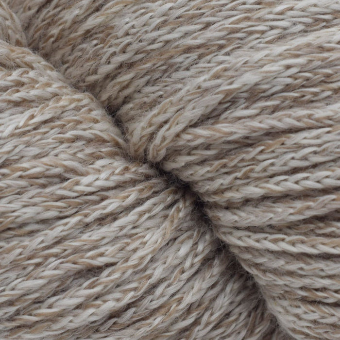 11- Sand Dollar