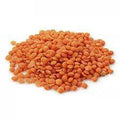 Lentilles corail bio - 1
