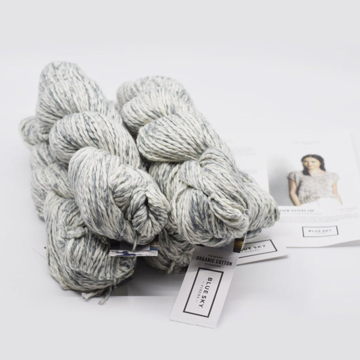 Blue Sky Fibers Seven Sisters Top -No. 2203 Dusty Miller 57496618 | Kits at Michigan Fine Yarns