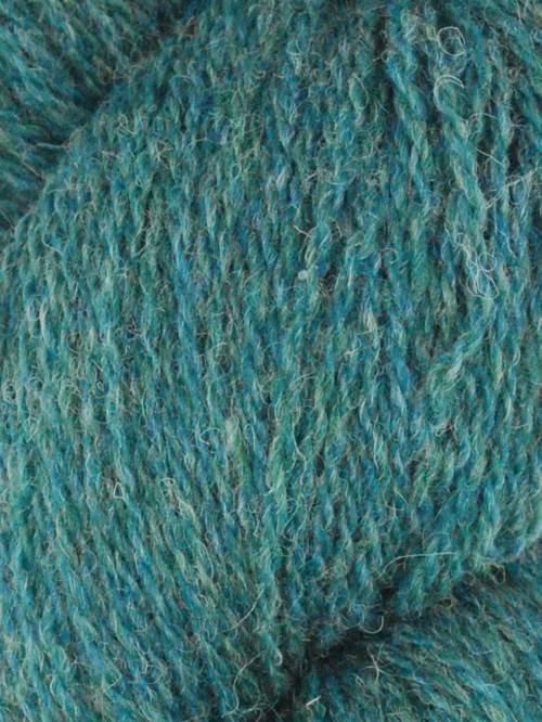 1013 - Juniper