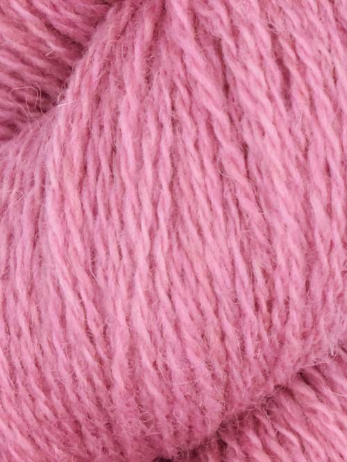 1029 - Wineberry