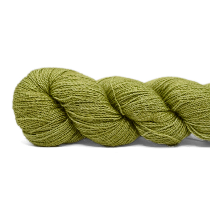 37 - Lettuce