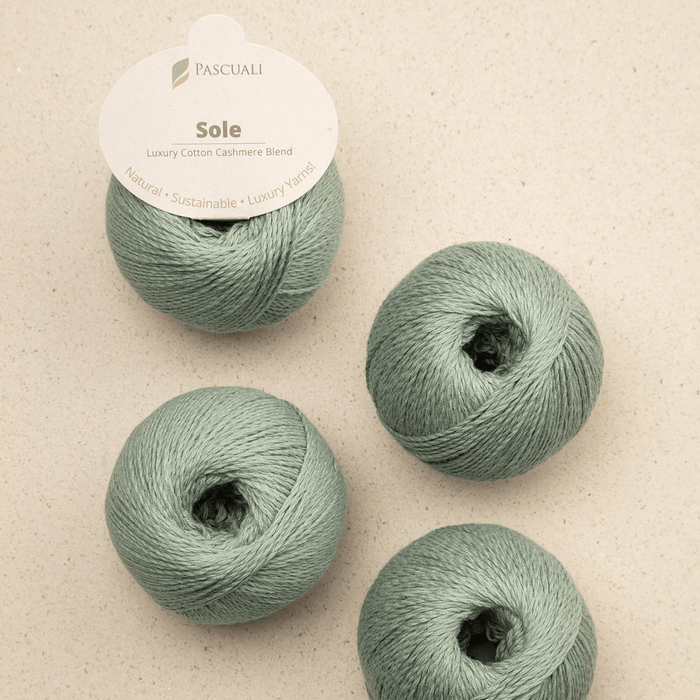 Pascuali Sole -49 - Agave  | Yarn at Michigan Fine Yarns
