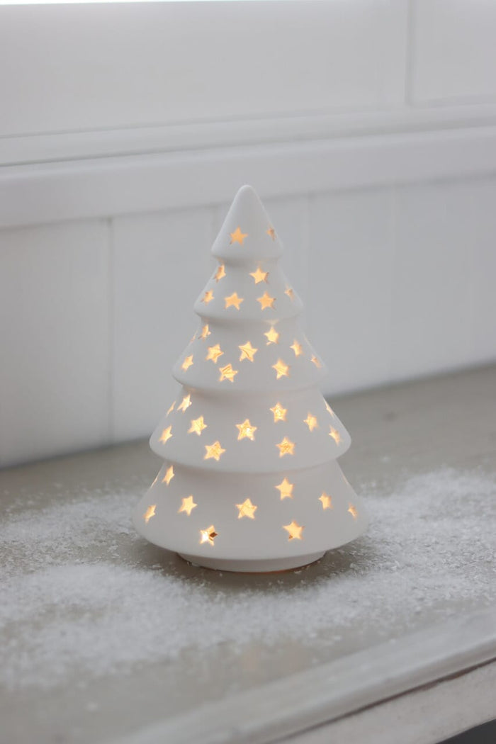 Starry Night Display Bundle