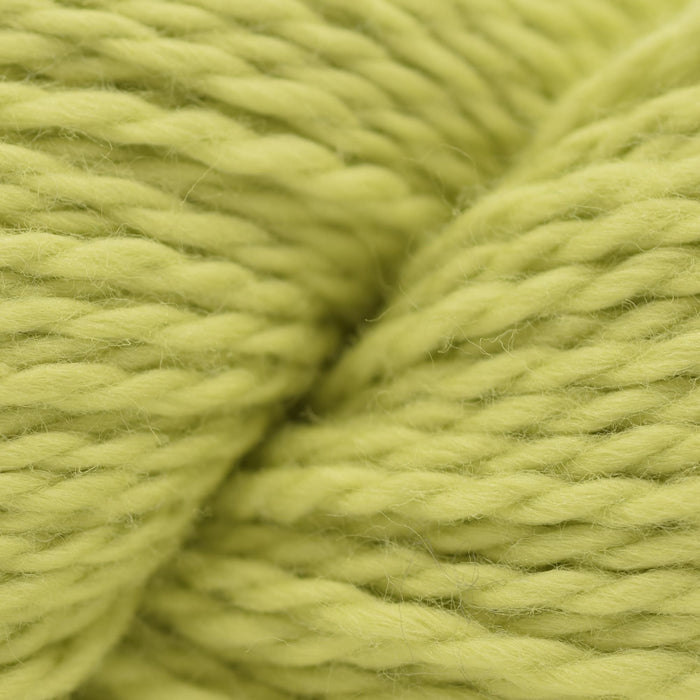 Blue Sky Fibers Temecula Cowl Kit -207 - Lemongrass 10589482 | Kits at Michigan Fine Yarns