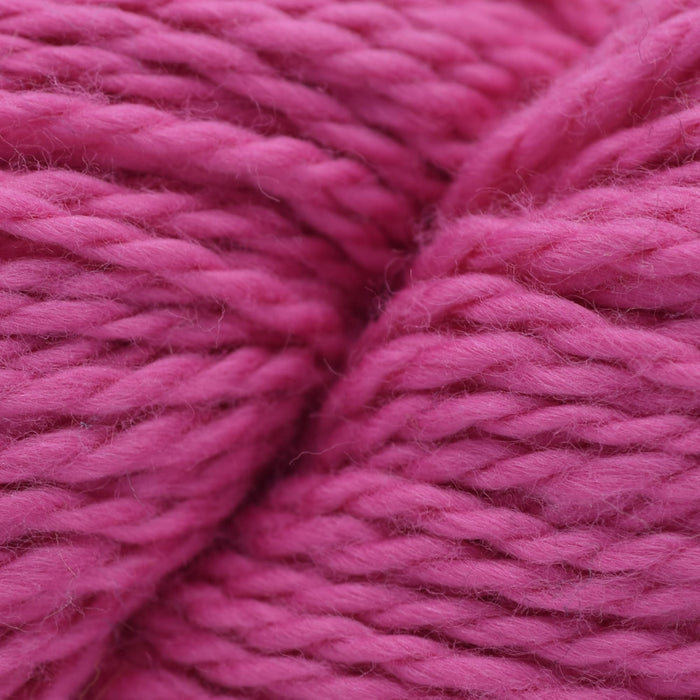 Blue Sky Fibers Temecula Cowl Kit -217 - Lotus 10655018 | Kits at Michigan Fine Yarns