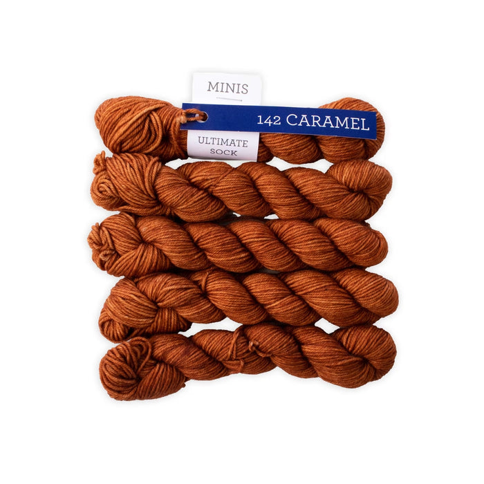 Malabrigo Ultimate Sock Minis | Yarn at Michigan Fine Yarns