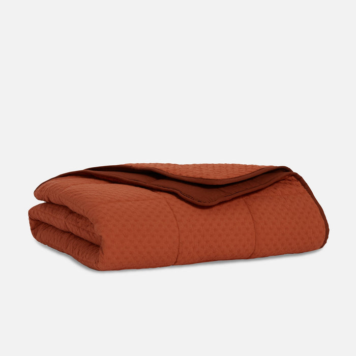 PDP2 Option[Terracotta] MAIN