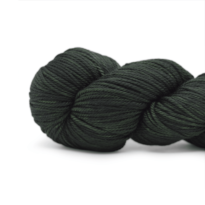 Koigu Winnie - W4020  | Yarn at Michigan Fine Yarns